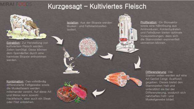 Rügenwalder investiert in zellbasierte Fleischherstellung - Die Entstehung von kultiviertem Fleisch - Quelle: Mirai Foods
